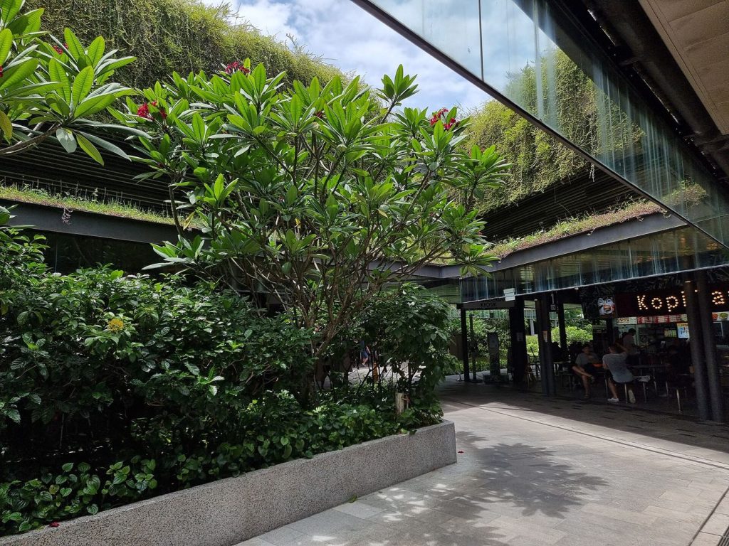 A busy hawker centre stall in Singapore